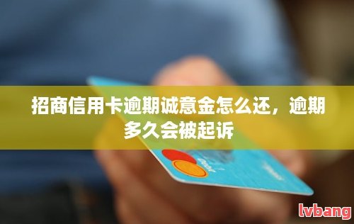 刑事二审确凿案例文模板及告成判例总结j9九游会-真人游戏第一品牌